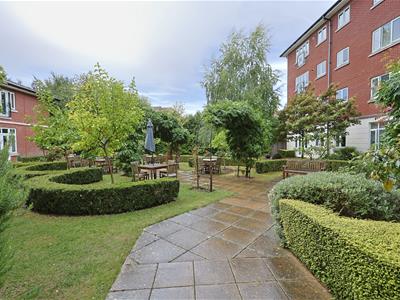 Picture 9